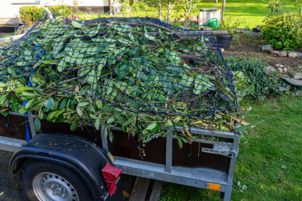 Shed Removal in Newcastle, CA